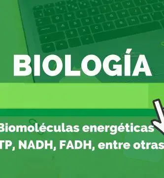 que son las biomoleculas energeticas atp nadh fadh