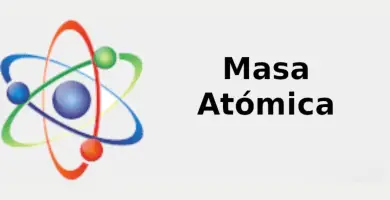 unidad de masa atomica